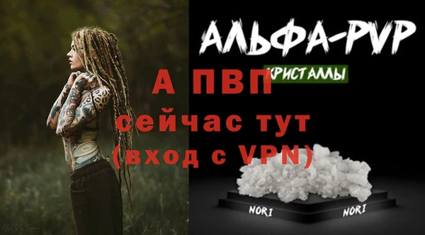 шишки Куйбышев