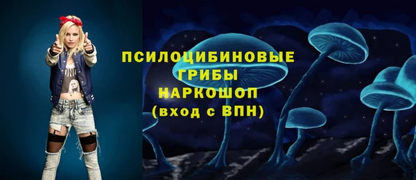 шишки Куйбышев