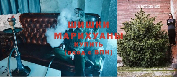 шишки Куйбышев