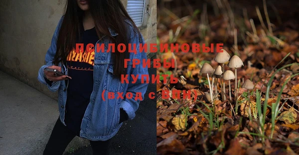 прущая мука Кукмор