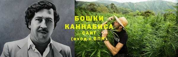 шишки Куйбышев