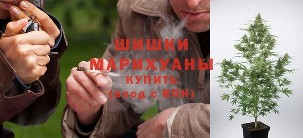 PSILOCYBIN Лагань